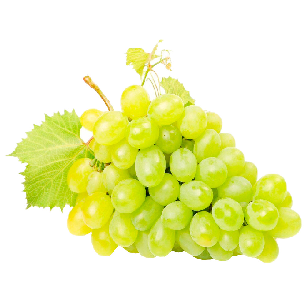 Кишмиш зеленый. Виноград КИШ-Миш белый. Виноград кишмиш белый. Виноград КИШ Миш красный.