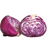 2200104