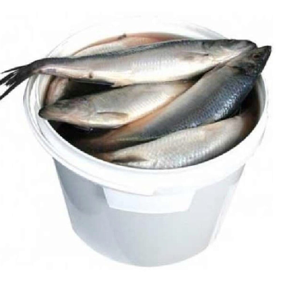 Пряный посол