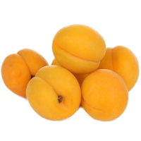 9095